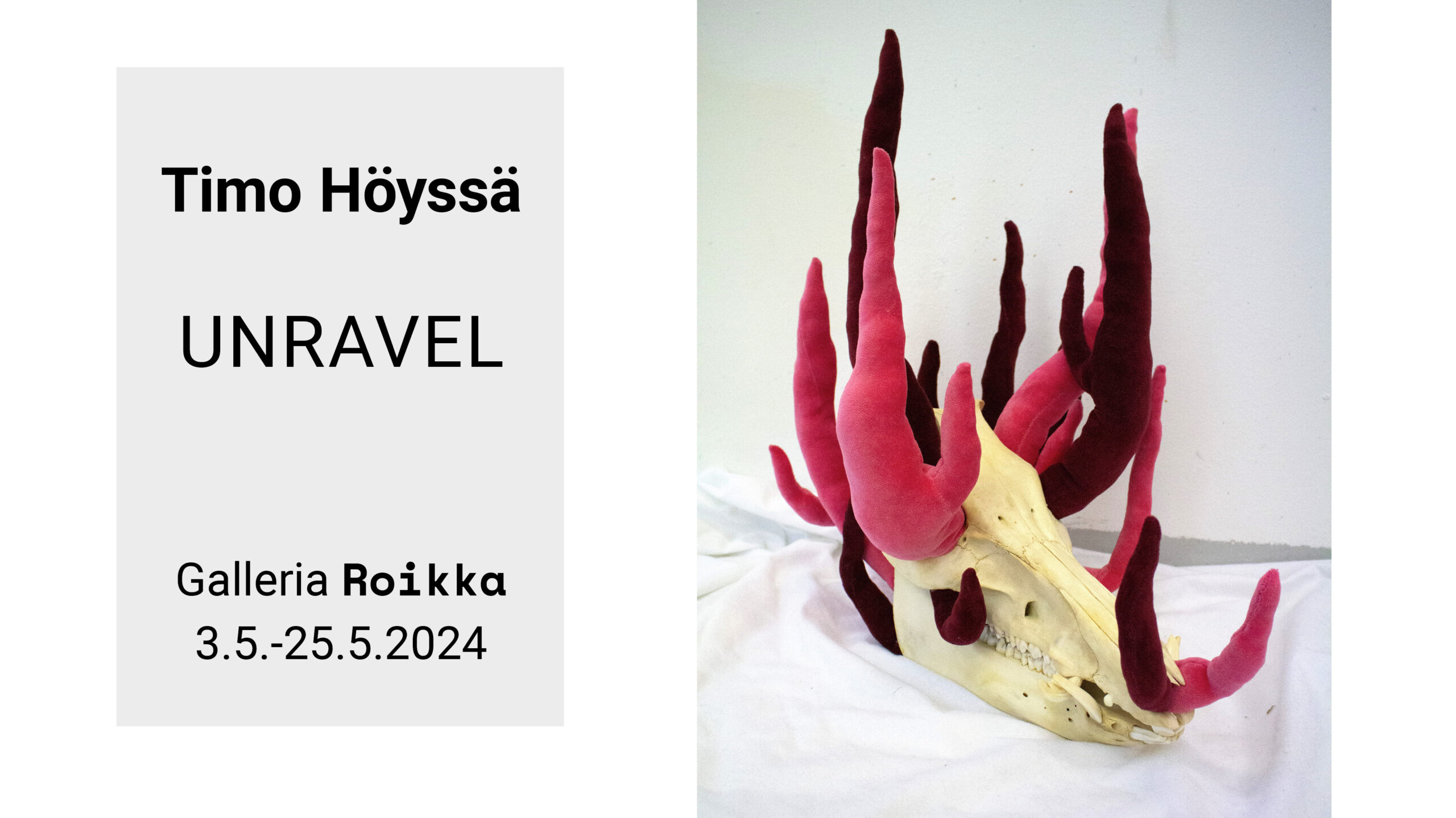 ROIKKA – Timo Höyssä — Unravel 3.5.–25.5.2024